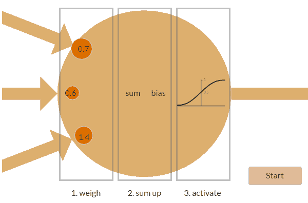 神经元内部机制